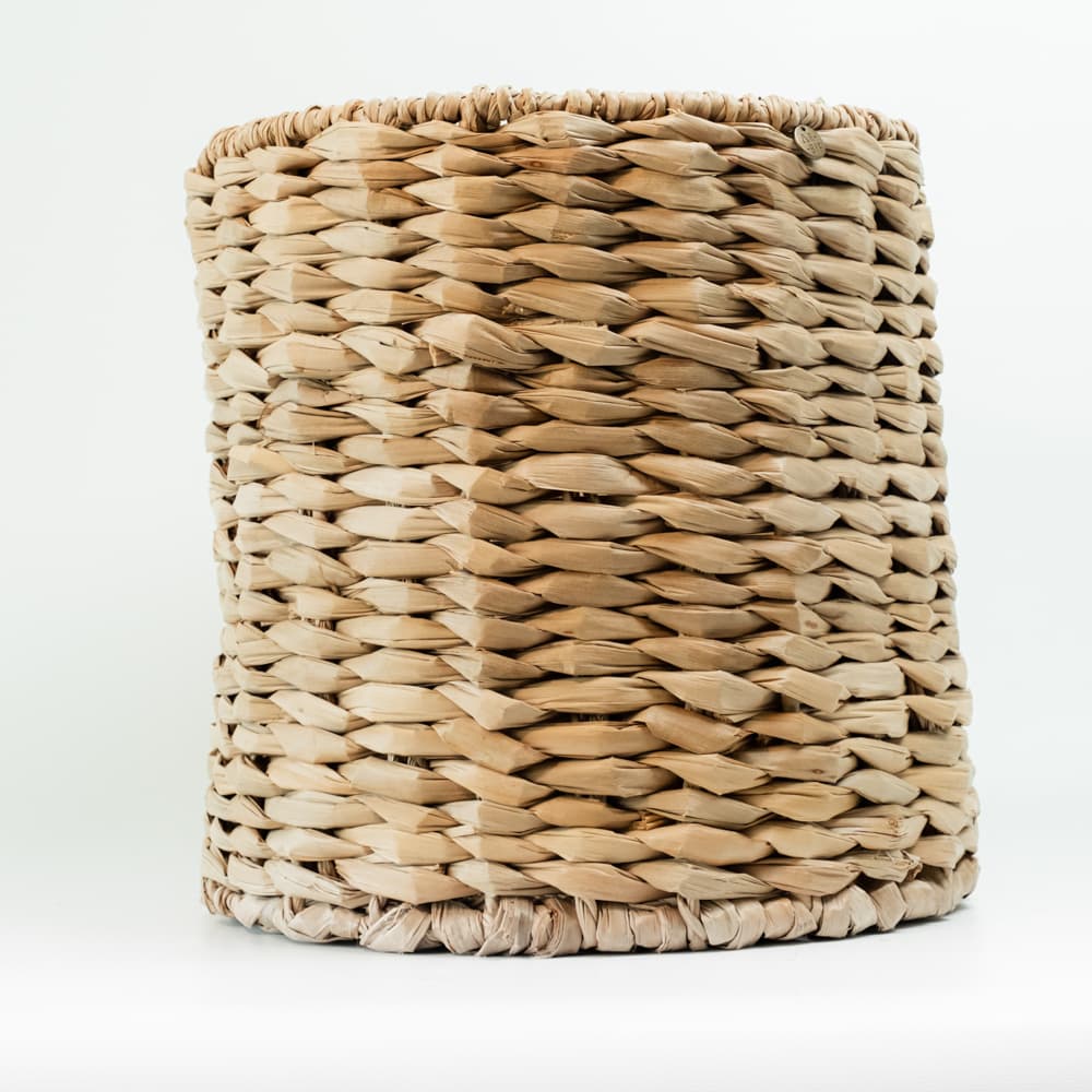 Canasto San Juan Enea - Imagen 5