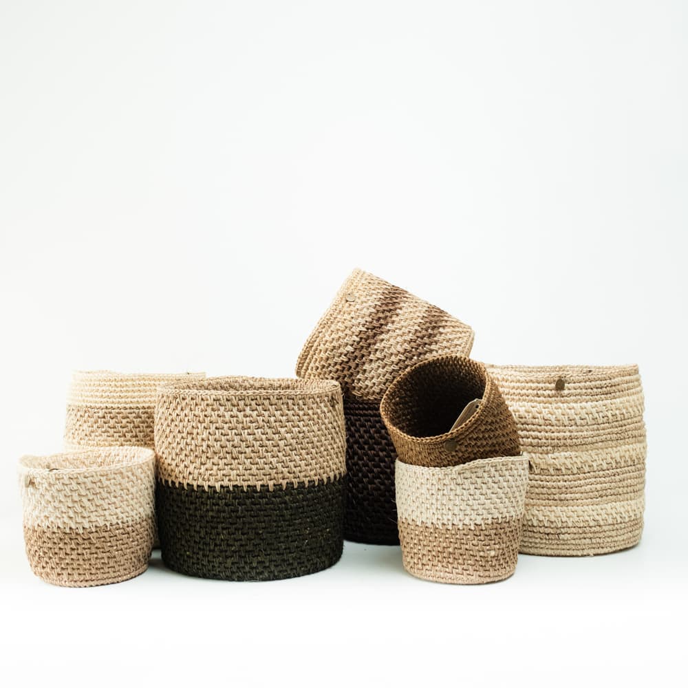 Canasto Bari - Imagen 7