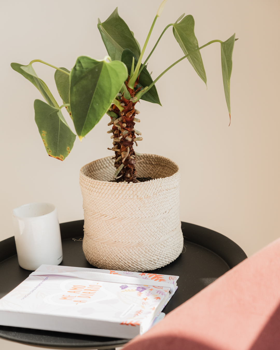 Canasto Iraca - Imagen 17