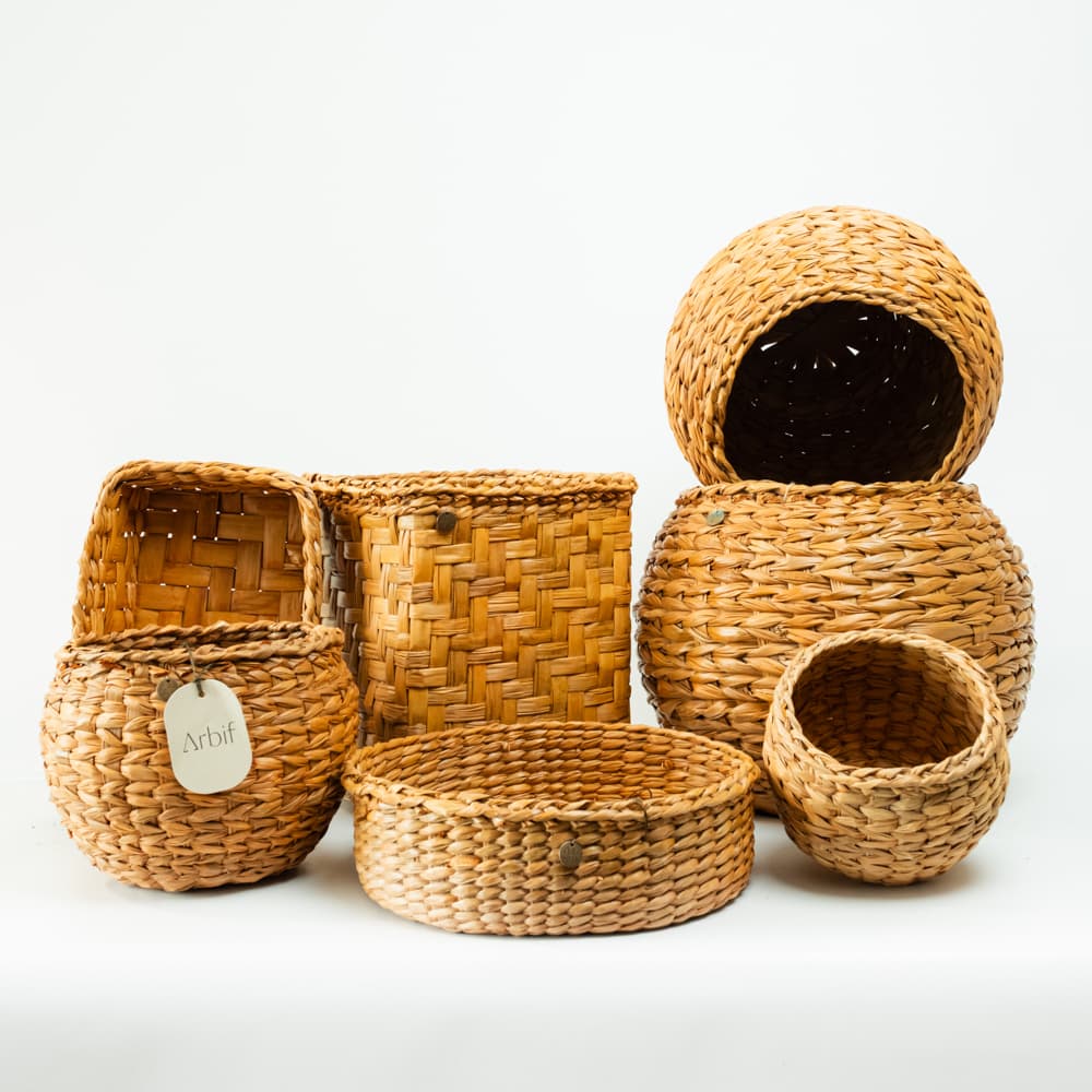 Canasto Novo Recto - Imagen 4