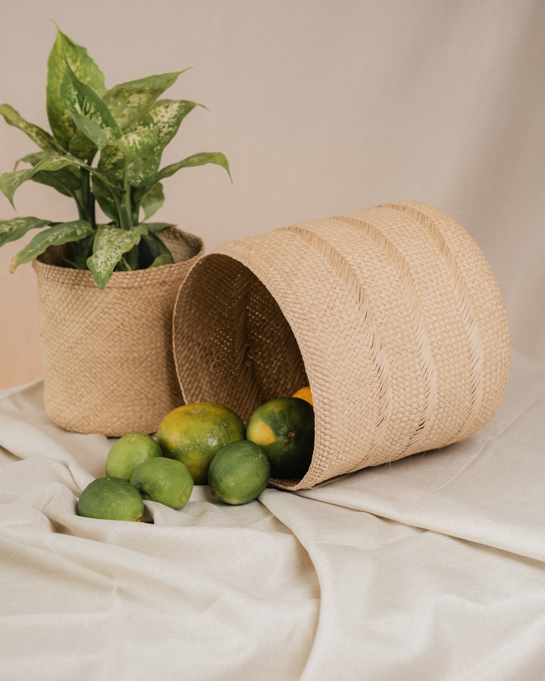 Canasto Iraca - Imagen 14